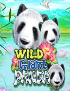 เที่ยวไปกับทาง เข้า ufabet1668 สนุกมันส์ไม่มีหยุด